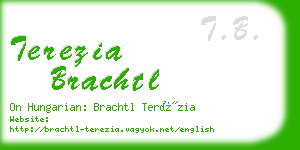 terezia brachtl business card